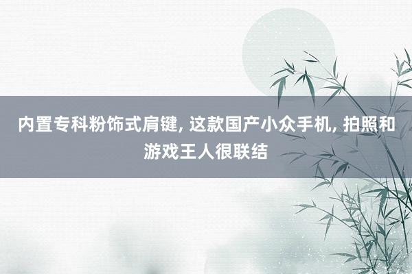 内置专科粉饰式肩键, 这款国产小众手机, 拍照和游戏王人很联结