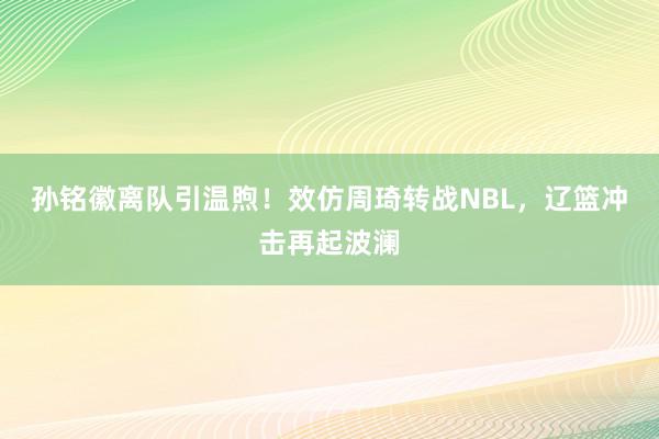 孙铭徽离队引温煦！效仿周琦转战NBL，辽篮冲击再起波澜