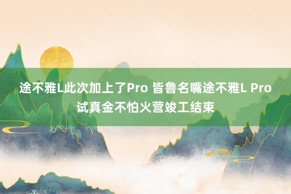 途不雅L此次加上了Pro 皆鲁名嘴途不雅L Pro试真金不怕火营竣工结束