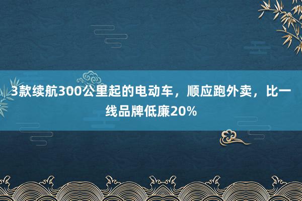 3款续航300公里起的电动车，顺应跑外卖，比一线品牌低廉20%