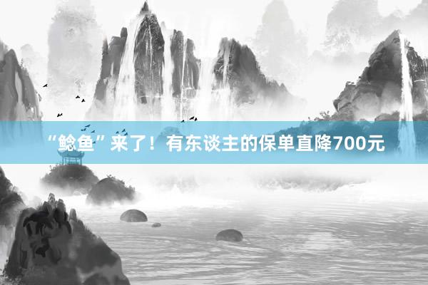 “鲶鱼”来了！有东谈主的保单直降700元