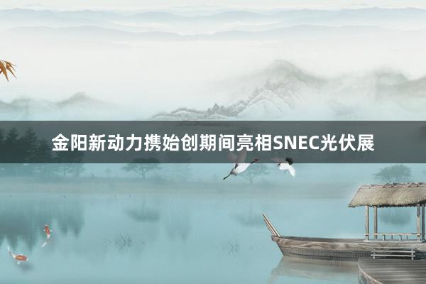 金阳新动力携始创期间亮相SNEC光伏展