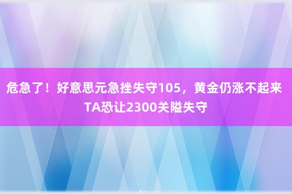 危急了！好意思元急挫失守105，黄金仍涨不起来 TA恐让2300关隘失守