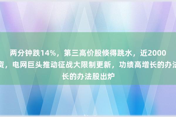 两分钟跌14%，第三高价股倏得跳水，近2000亿元投资，电网巨头推动征战大限制更新，功绩高增长的办法股出炉