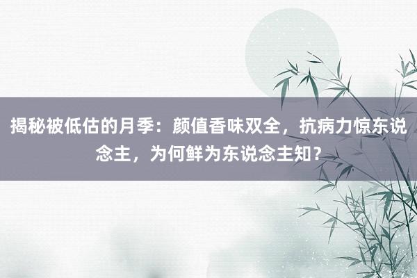 揭秘被低估的月季：颜值香味双全，抗病力惊东说念主，为何鲜为东说念主知？