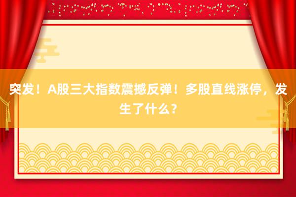 突发！A股三大指数震撼反弹！多股直线涨停，发生了什么？