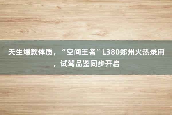 天生爆款体质，“空间王者”L380郑州火热录用，试驾品鉴同步开启