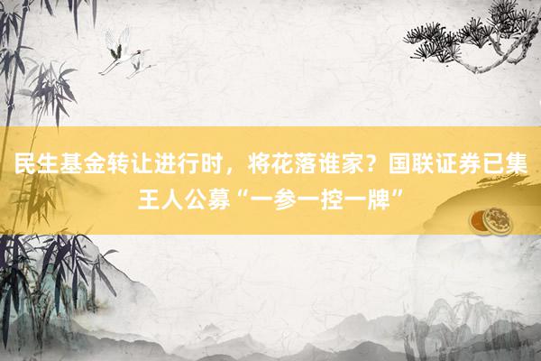 民生基金转让进行时，将花落谁家？国联证券已集王人公募“一参一控一牌”