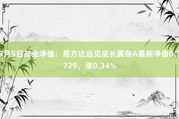 9月5日基金净值：易方达远见成长羼杂A最新净值0.7729，涨0.34%