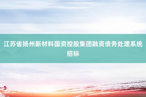 江苏省扬州新材料国资控股集团融资债务处理系统招标