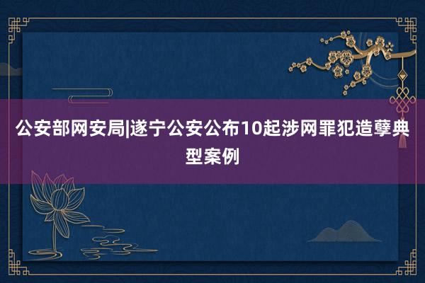 公安部网安局|遂宁公安公布10起涉网罪犯造孽典型案例