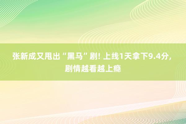 张新成又甩出“黑马”剧! 上线1天拿下9.4分, 剧情越看越上瘾