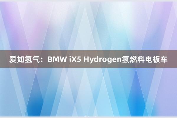 爱如氢气：BMW iX5 Hydrogen氢燃料电板车