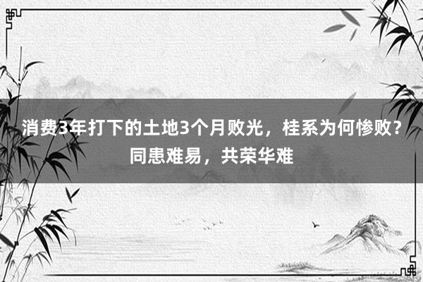 消费3年打下的土地3个月败光，桂系为何惨败？同患难易，共荣华难