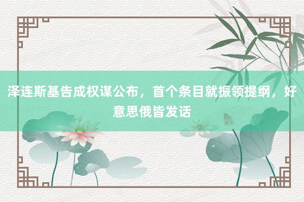 泽连斯基告成权谋公布，首个条目就振领提纲，好意思俄皆发话