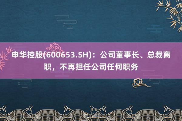 申华控股(600653.SH)：公司董事长、总裁离职，不再担任公司任何职务