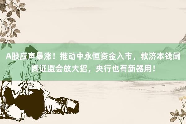 A股应声暴涨！推动中永恒资金入市，救济本钱阛阓证监会放大招，央行也有新器用！