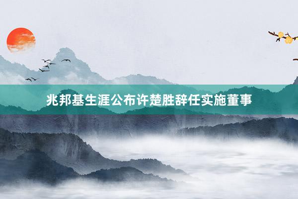 兆邦基生涯公布许楚胜辞任实施董事