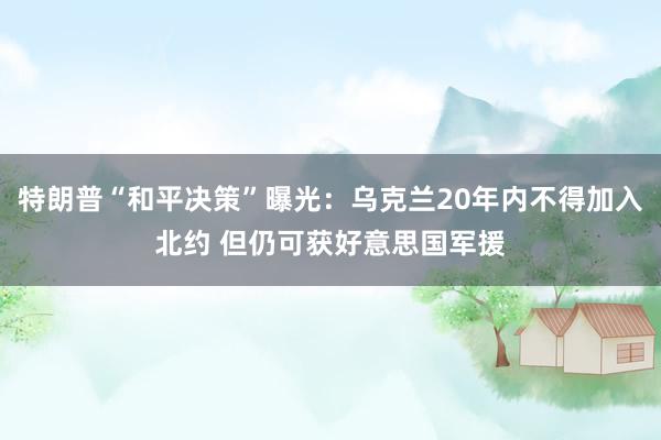 特朗普“和平决策”曝光：乌克兰20年内不得加入北约 但仍可获好意思国军援