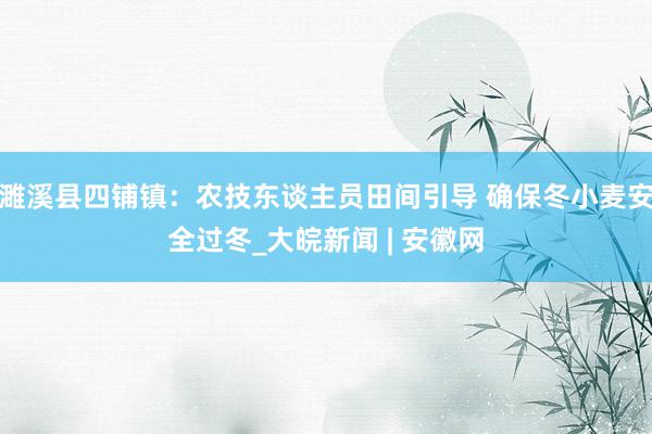 濉溪县四铺镇：农技东谈主员田间引导 确保冬小麦安全过冬_大皖新闻 | 安徽网