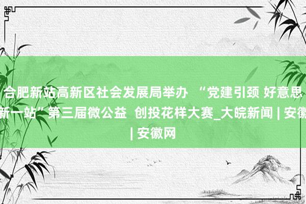 合肥新站高新区社会发展局举办  “党建引颈 好意思好新一站”第三届微公益  创投花样大赛_大皖新闻 | 安徽网